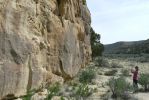 PICTURES/Crow Canyon Petroglyphs - Big Warrior Panel/t_P1200047.JPG